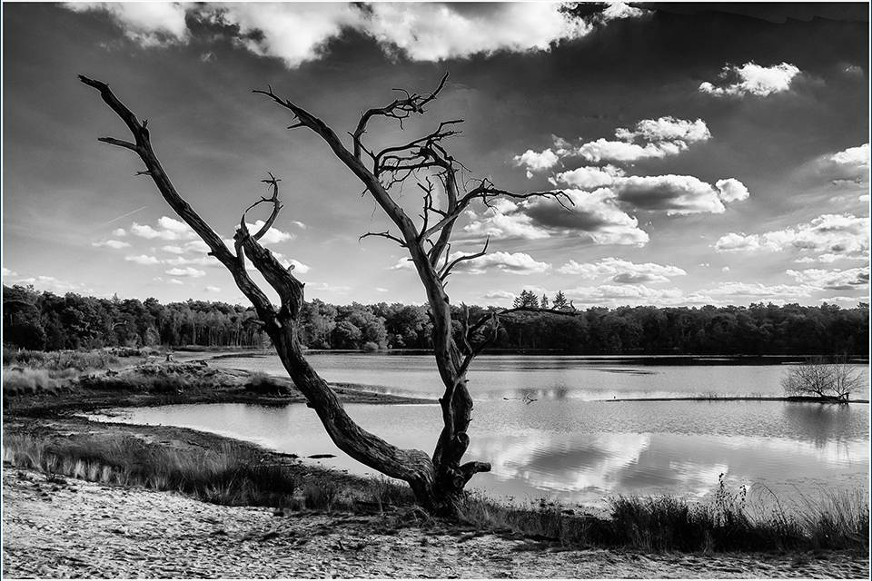 08-2025-10-10_-_Henk_-_ZW_-_08-_75D1158-01_lr_se_ci2s2du_pp2410x1610px_original