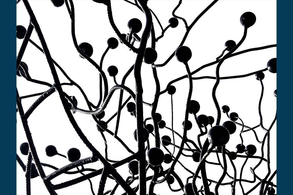 13-2026.05_Contrast_LK_original