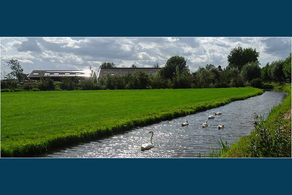 21-RS_Vrije_keuze_original