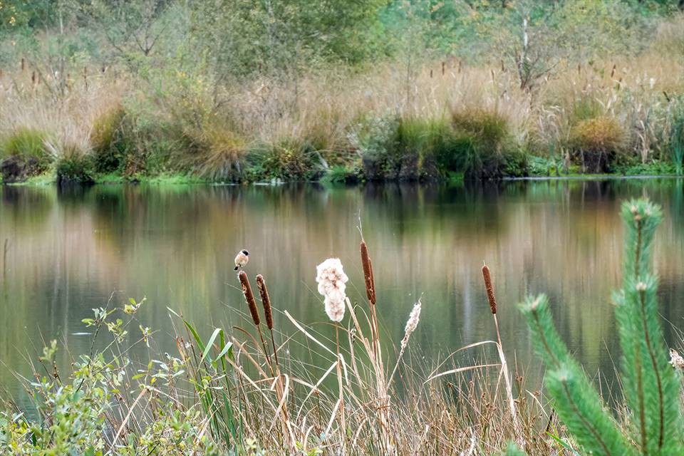 29-2025.10-2_Extra_foto_LK_original