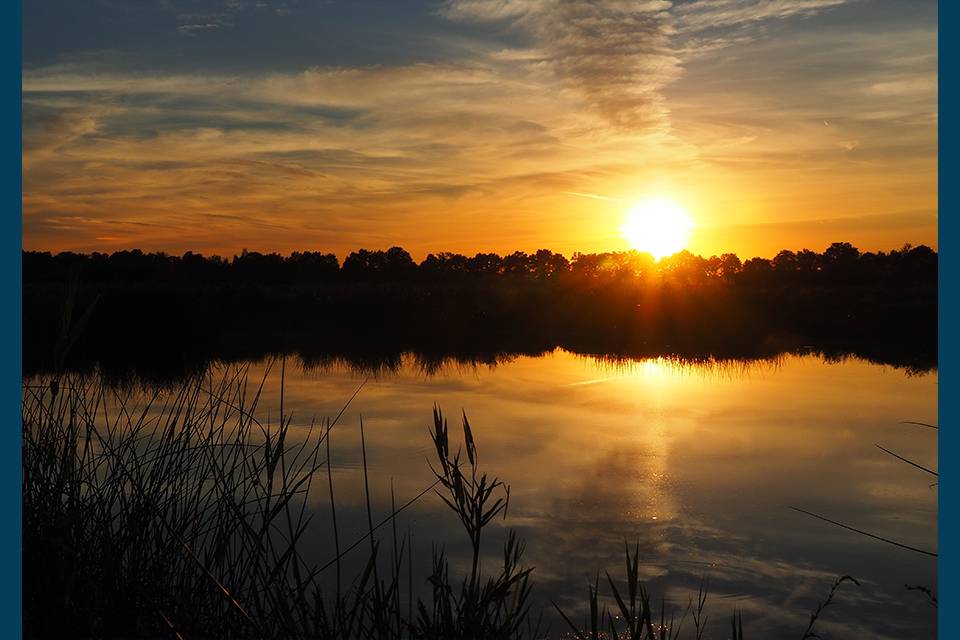 30-P9170051_original