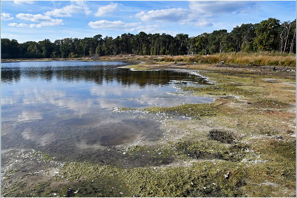 31-2025-10-10_-_Henk_-_vrij_-__75D1151_i3sdu_pp2410x1610px_original