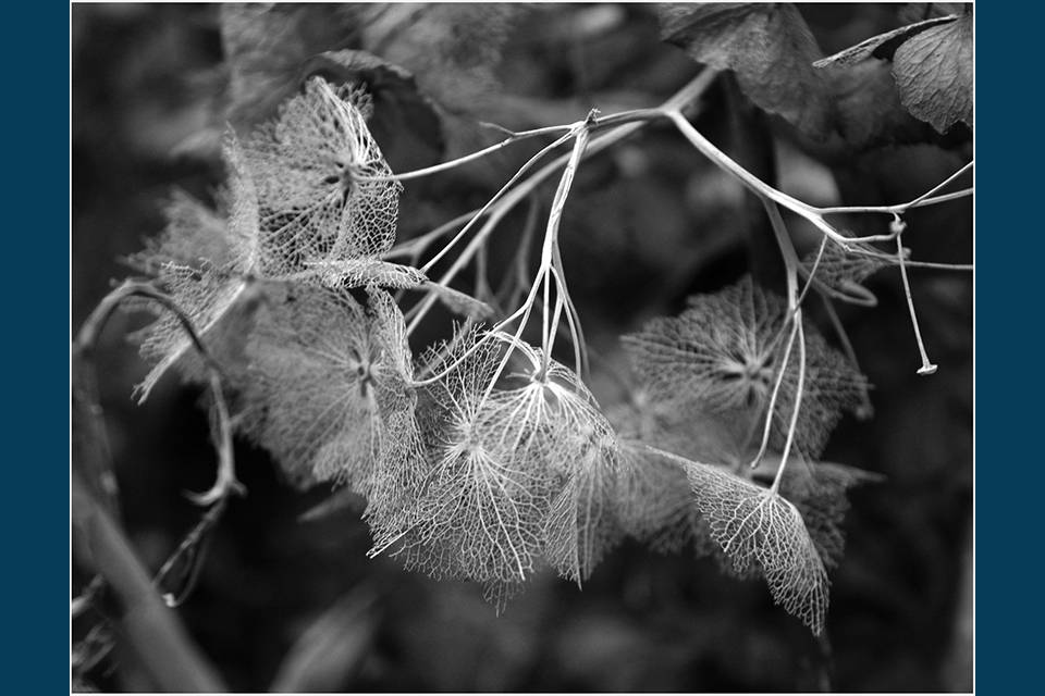 33-DSC_0060_original.jpg_Extra_verkleind_original